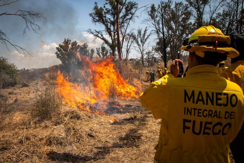 Guadalajara está lista para el estiaje con 45 bomberos capacitados contra incendios