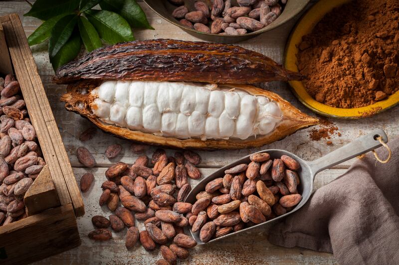Los días se pueden sentir más largos bajo las sofocantes temperaturas de la ciudad, por eso siempre es necesario considerar un antojo placentero para combatir esta sensación.