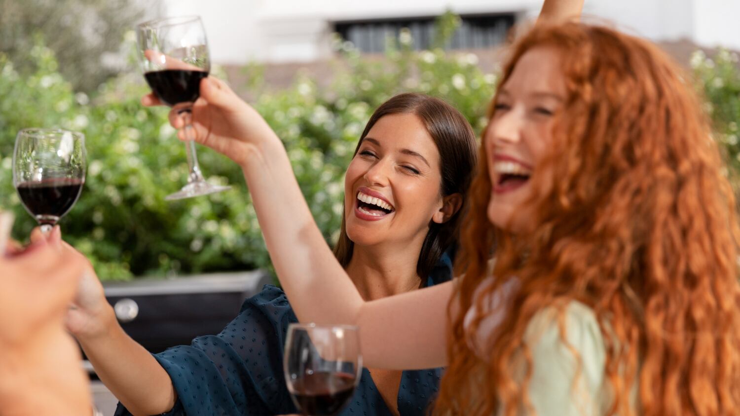 Nación de Vinos 2026