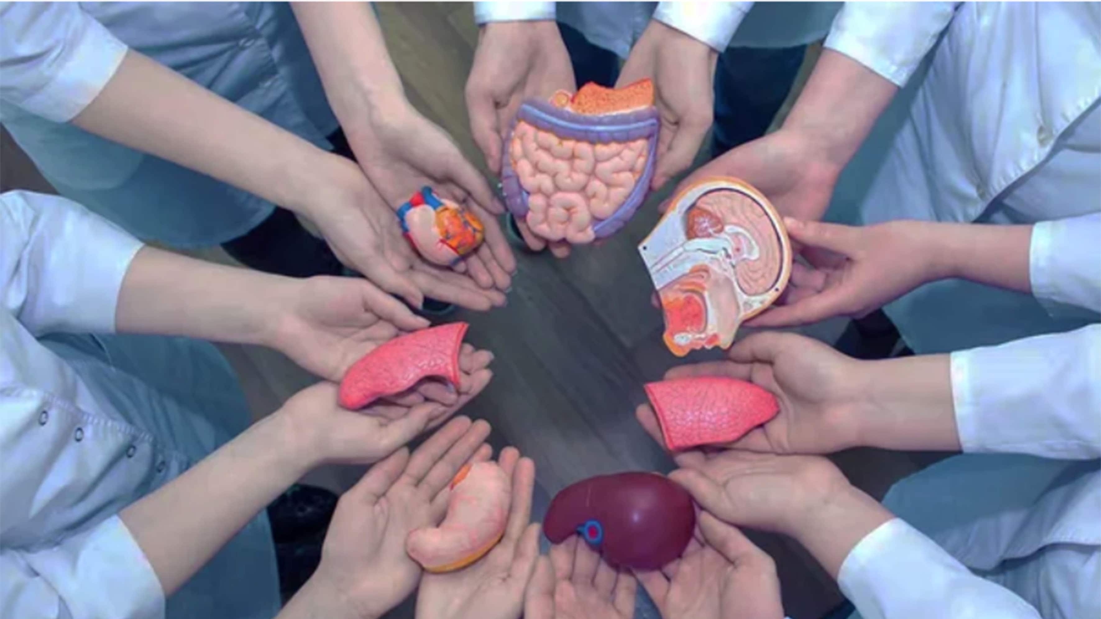 Donación de órganos