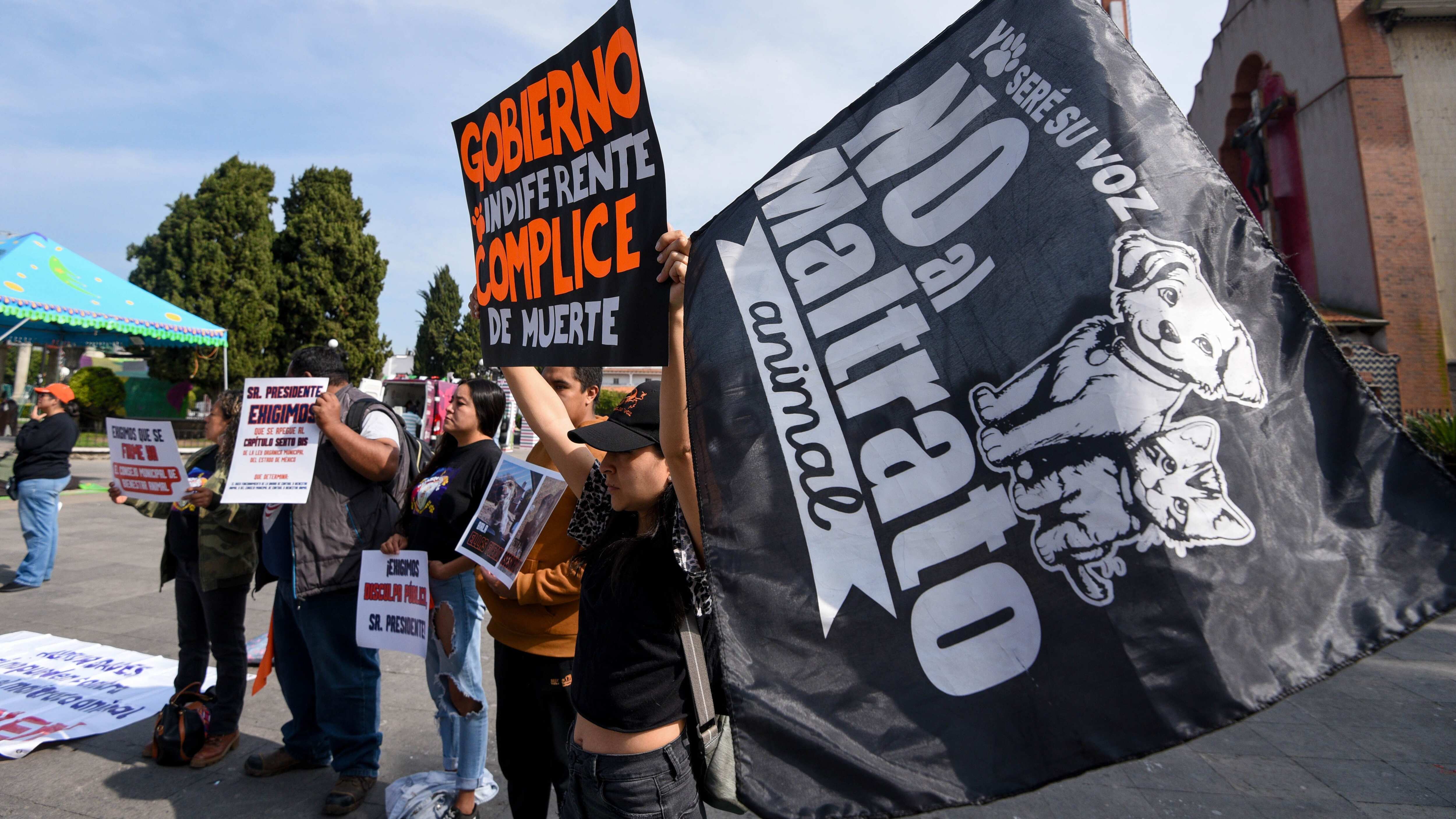 Martínez explicó que el inspector, cada vez que haga una visita para verificar un maltrato animal, levante un acta, si él lo considera necesario, de otras posibles víctimas.