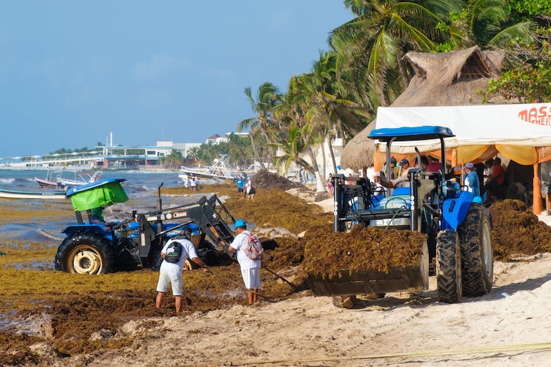 Cambio ambiental