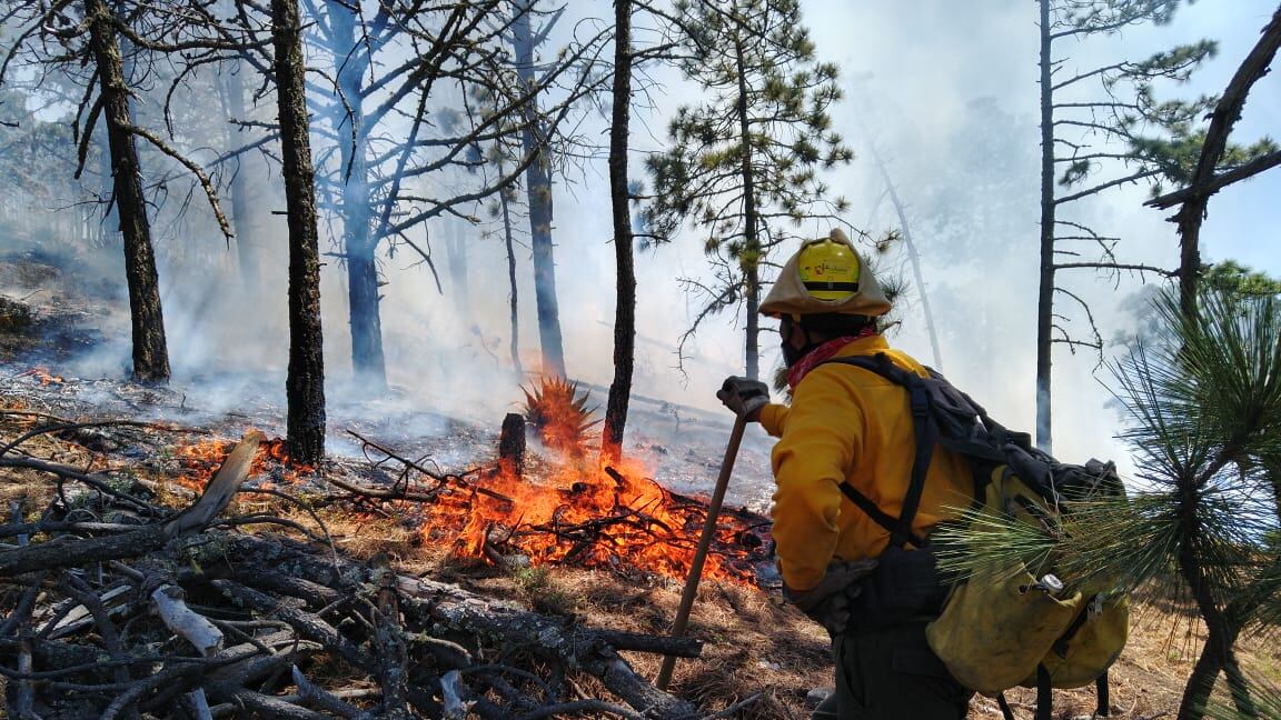 Los brigadistas combaten los incendios forestales en Galeana
