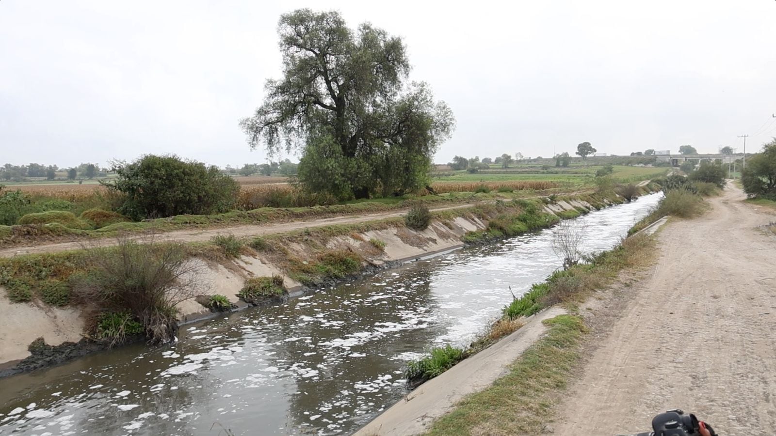 Avanza sequía sobre Querétaro: afecta al 17% del territorio