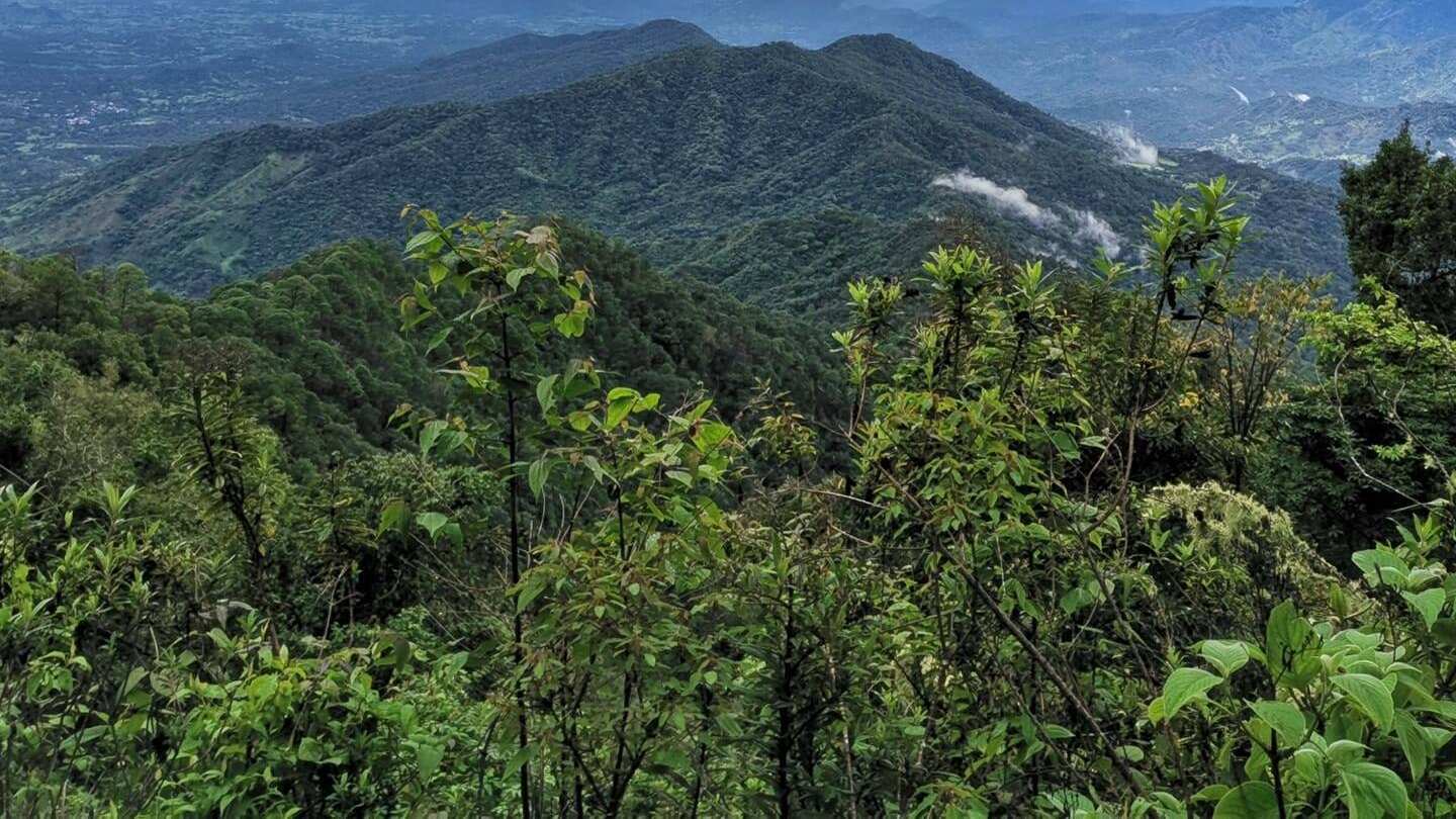 El Gobierno de Jalisco, a través de la Secretaría de Medio Ambiente y Desarrollo Territorial (Semadet), ha oficializado la creación de dos nuevas Áreas Naturales Protegidas (ANP) en el estado.