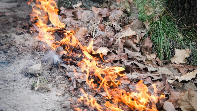 PROTECCIÓN CIVIL DE JALISCO