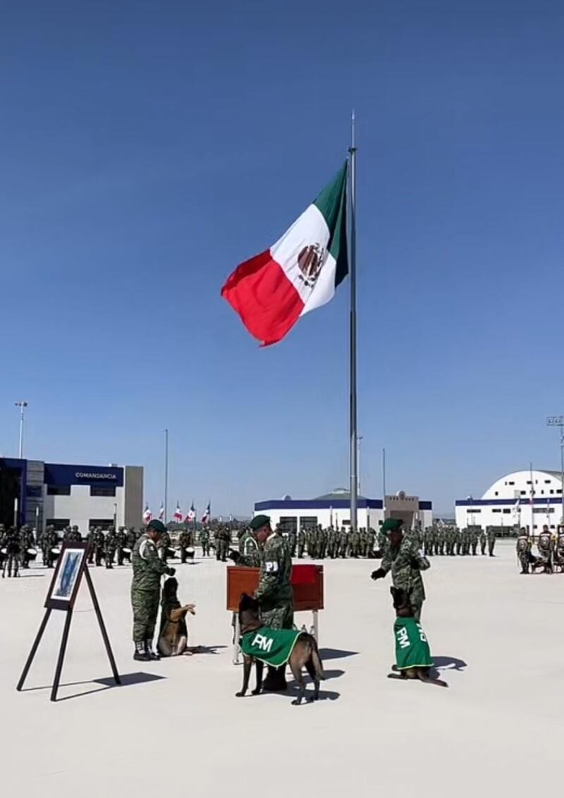 Homenaje a Proteo.