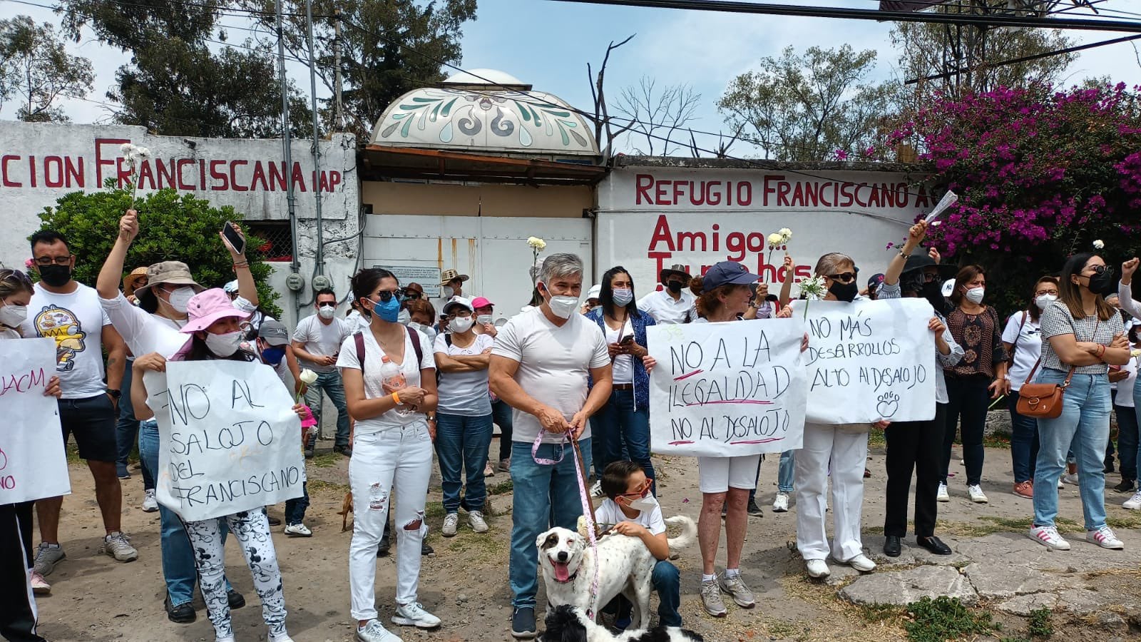 Autoridades capitalinas y el Refugio Franciscano se acusan mutuamente: unos hablan de rescate por crueldad animal y otros de un despojo encubierto