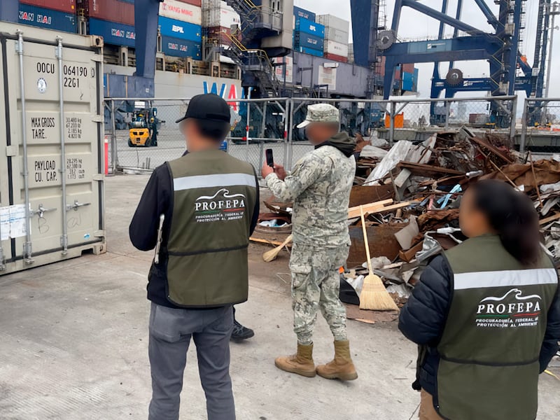 Aseguran aletas de tiburón en Ensenada que serían enviadas a Shanghai, China