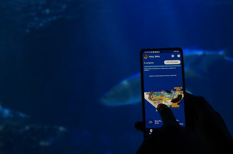 Un acuario de la CDMX se ha actualizado para ofrecer a los más pequeños una experiencia única que los ayudará a descubrir la importancia de la vida marina