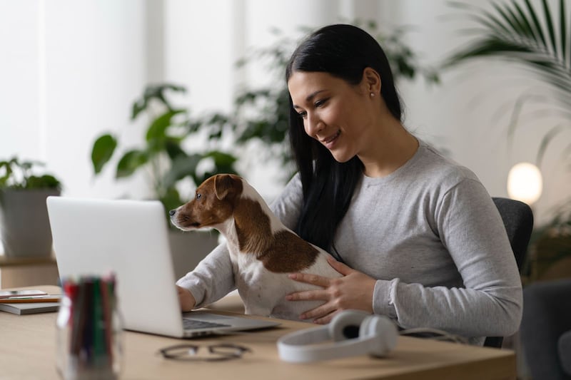 Mascota en tu trabajo