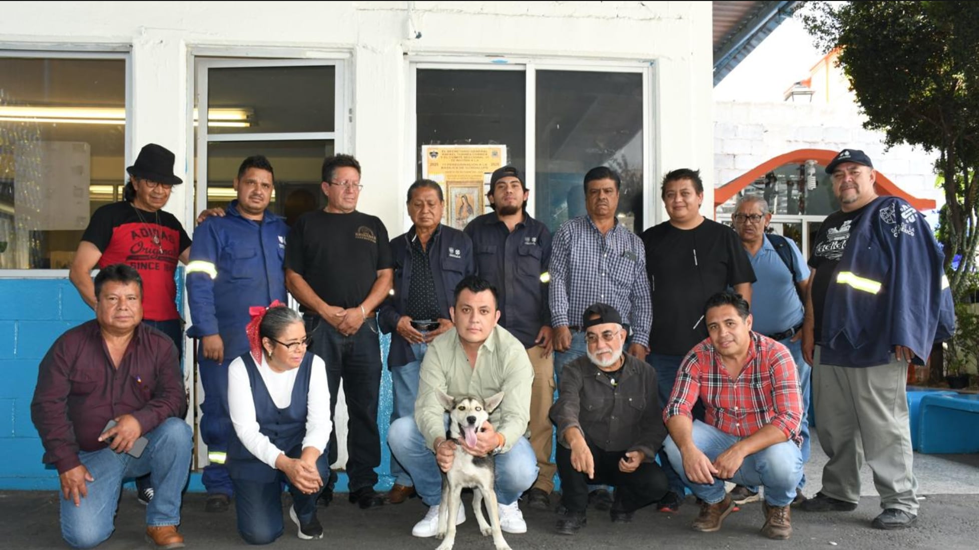 Yuca, perrita rescatada por la alcaldía Benito Juárez