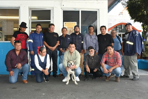 Yuca, perrita rescatada encuentra hogar en campamento de limpia de la alcaldía Benito Juárez