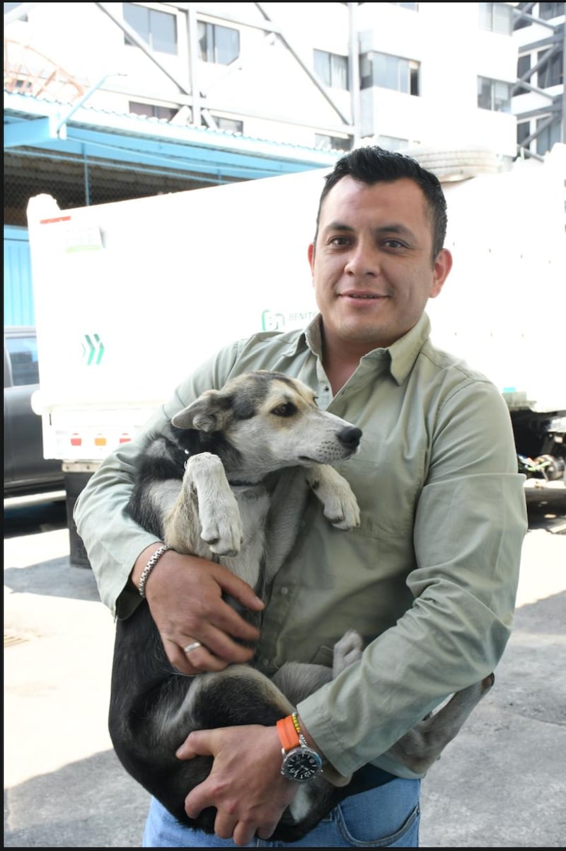 Yuca, perrita rescatada en BJ