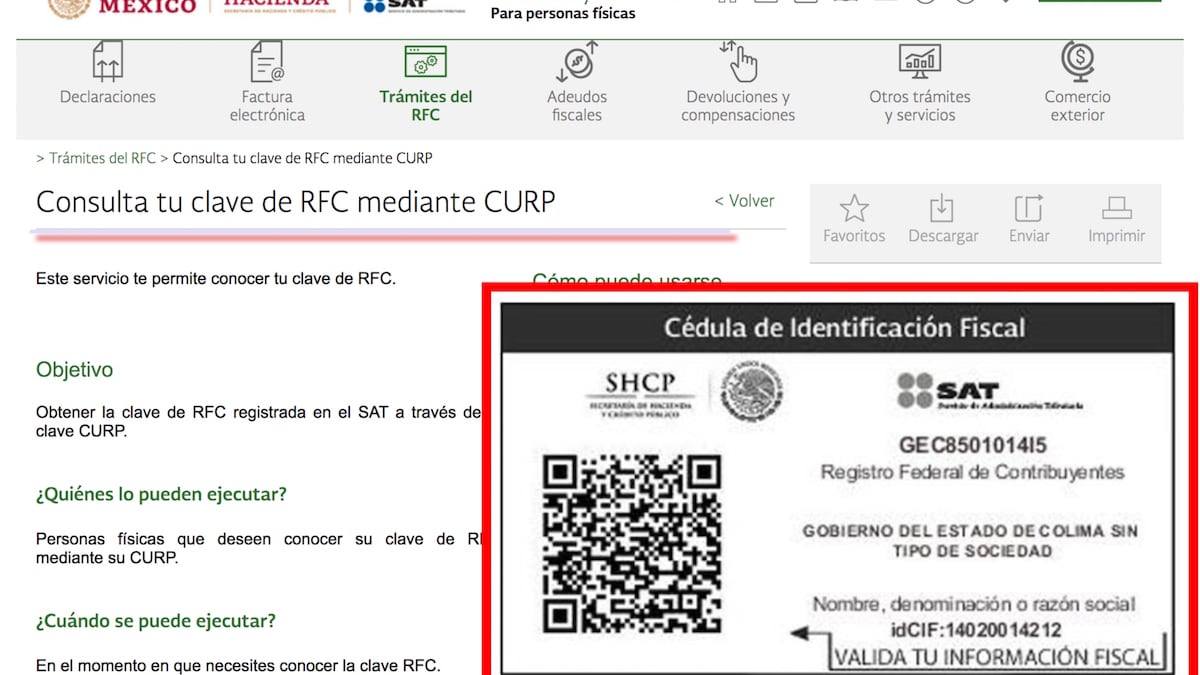 El documento puede obtenerse fácilmente en línea en el portal del SAT. (Especial)