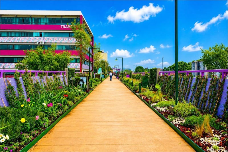 Jardín Flotante Tlallipan en Tlalpan (Foto: Gob.CDMX)