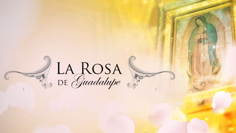 Golpean a famoso actor de La Rosa de Guadalupe tras altercado vial en calles del Edomex
