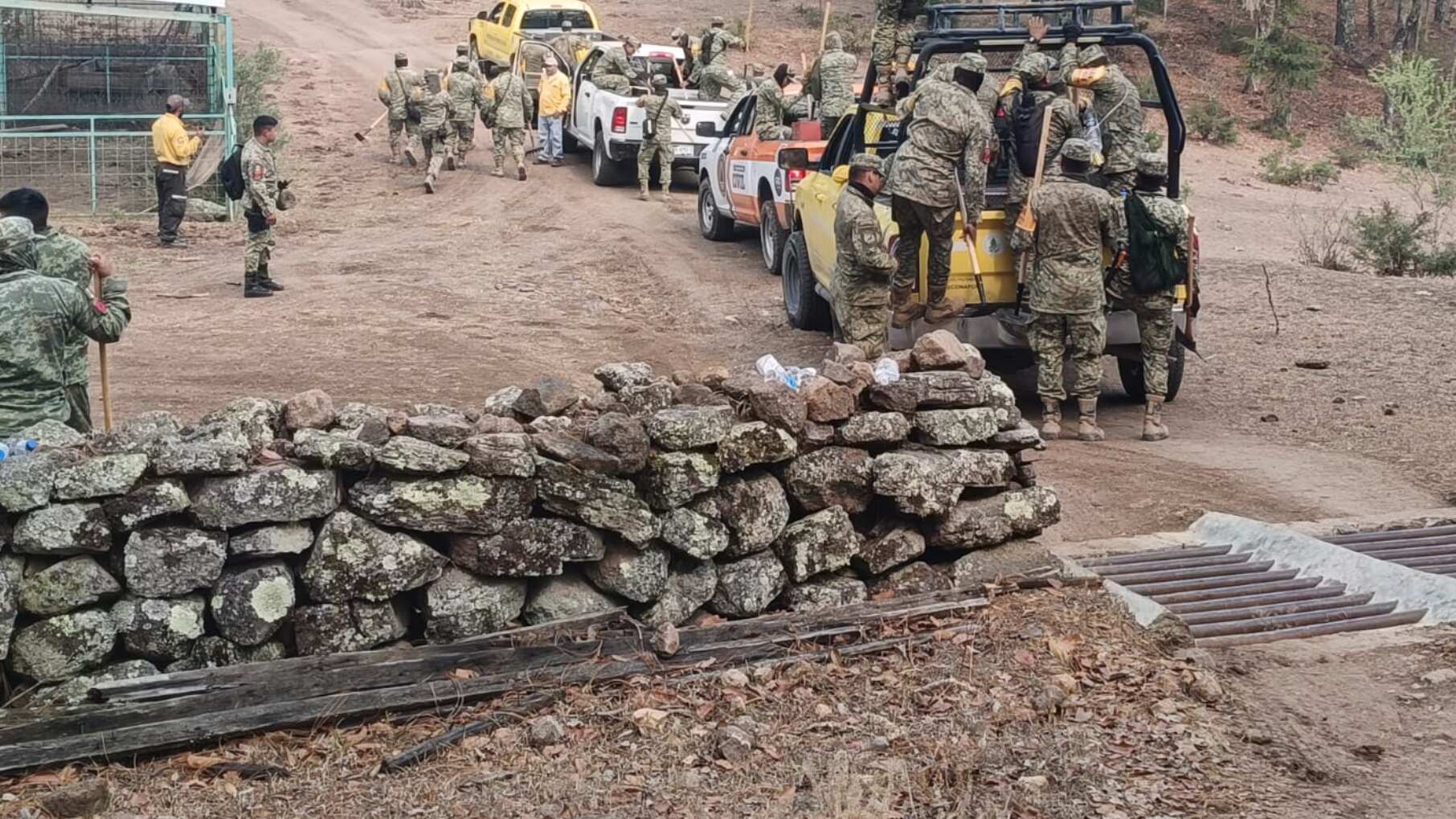 En Sierra de Lobos se consumieron unas 120 hectáreas.