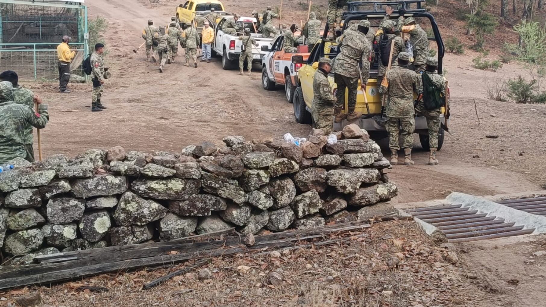 En Sierra de Lobos se consumieron unas 120 hectáreas.