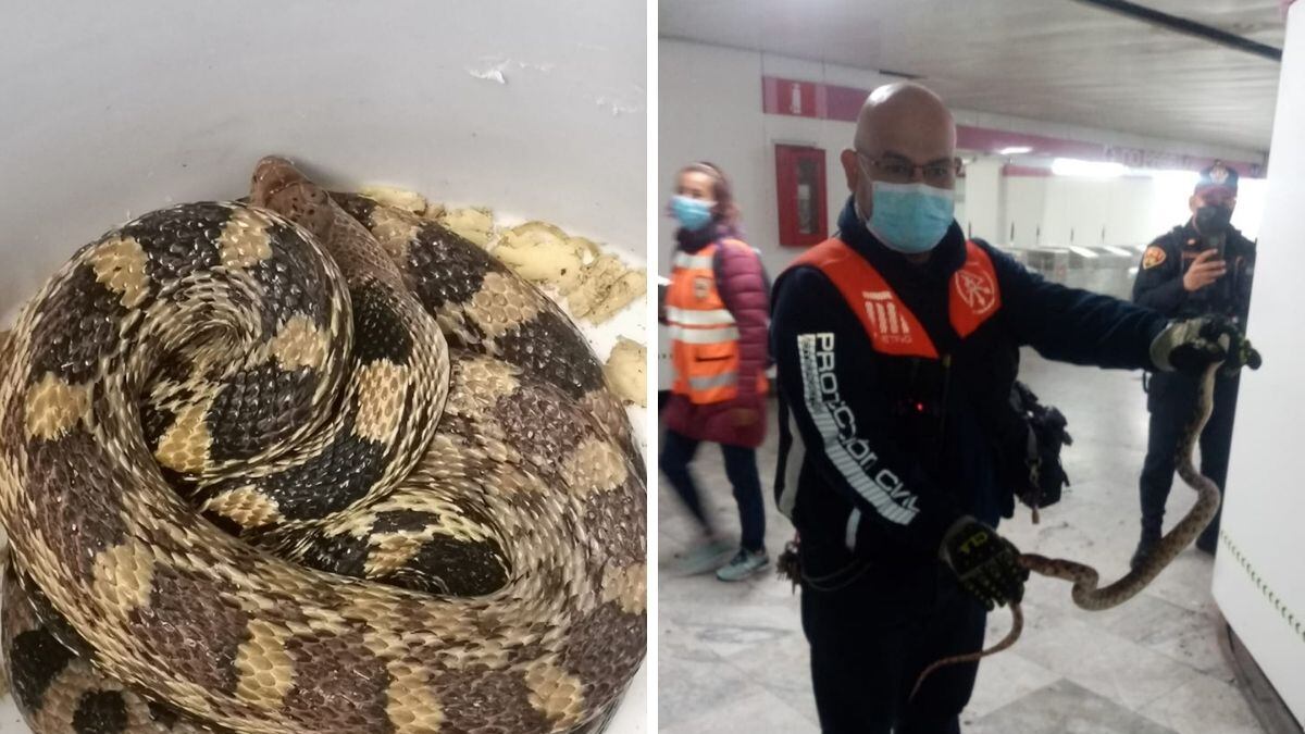 (Twitter @Metro_CDMX)