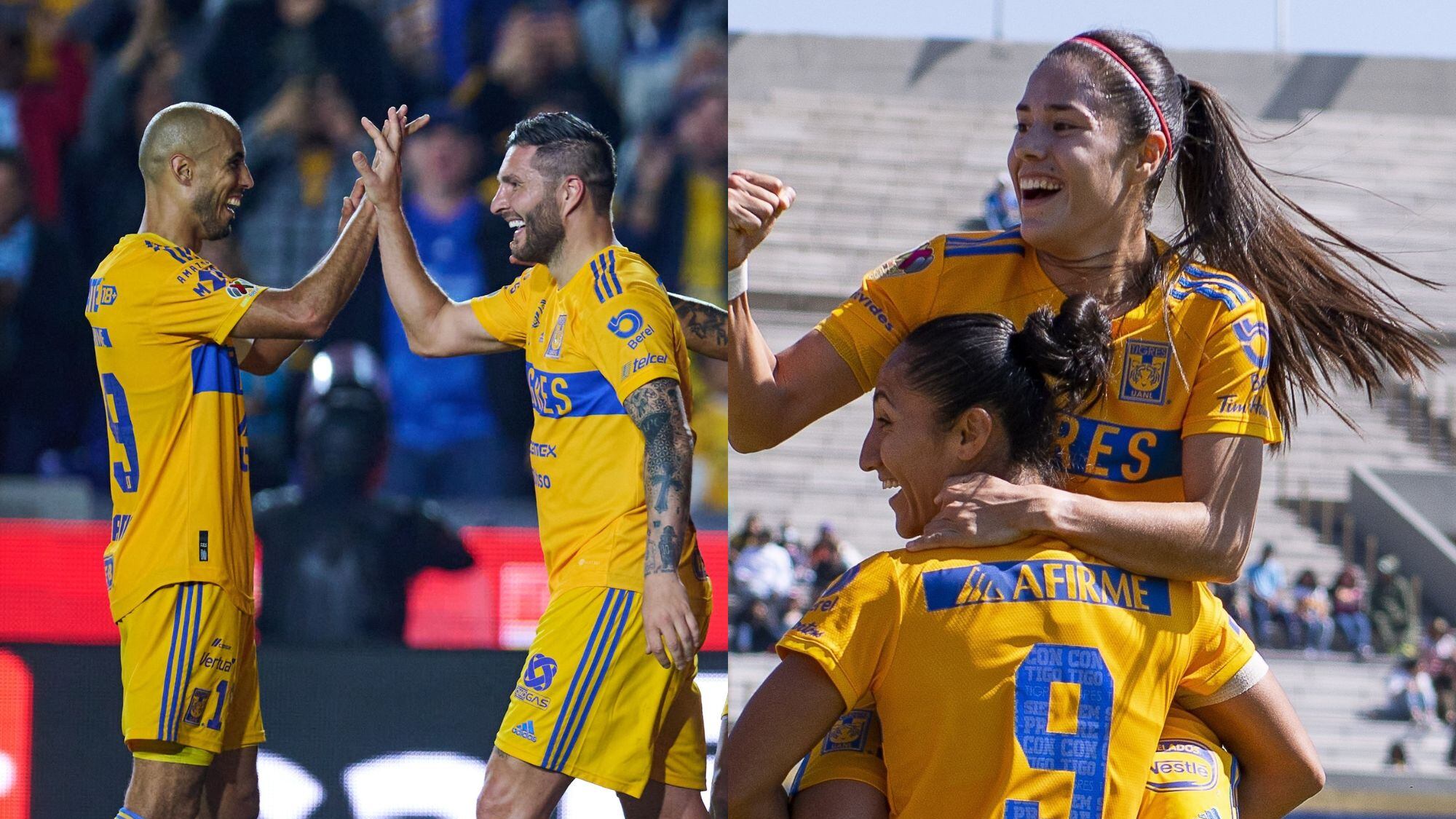 Tigres y Tigres Femenil