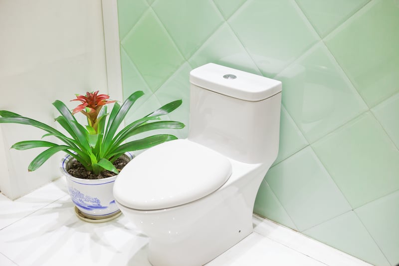 Por ser el espacio de excelencia para la higiene, el baño es el lugar de la casa donde más utilizamos el agua. Sin embargo, esto puede cambiar con algunos simples artículos.