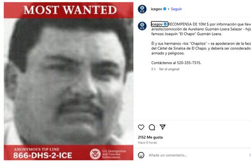 ICE de EE.UU. ofrece 10 millones de dólares por captura de “El Guanito”, hijo de “El Guano” Guzmán