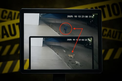 Envenenador a sueldo: graban a mataperros, lleva decenas de asesinatos y que actuaría por contrato