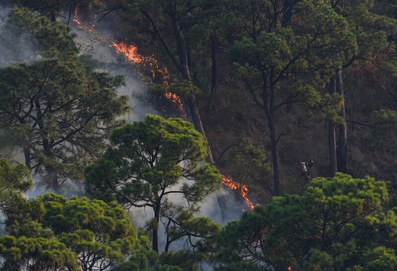 Continúan labores contra incendios forestales en Valle de Bravo