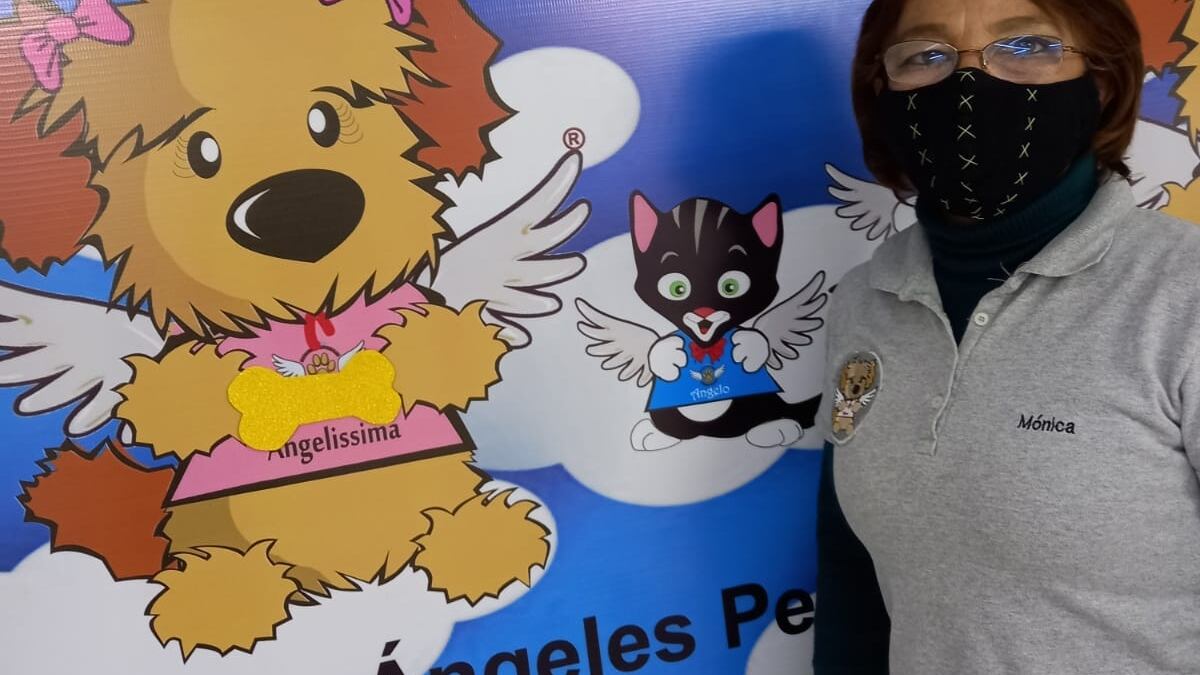 Realizan evaluación de las personas que quieren adoptar