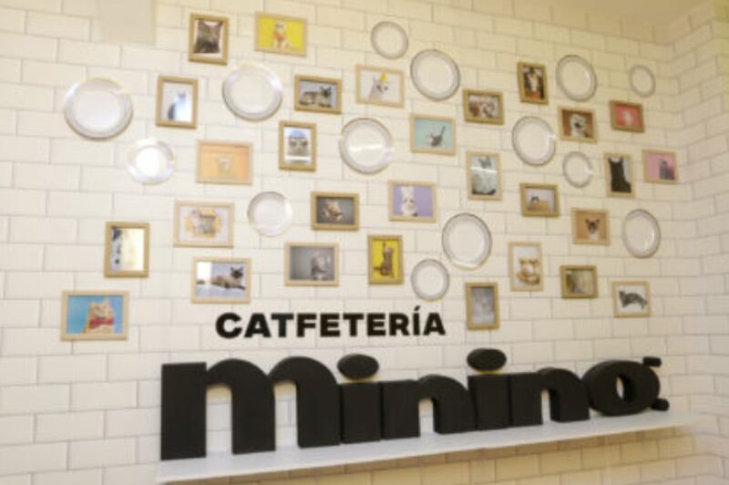 Casa Minino Cafetería