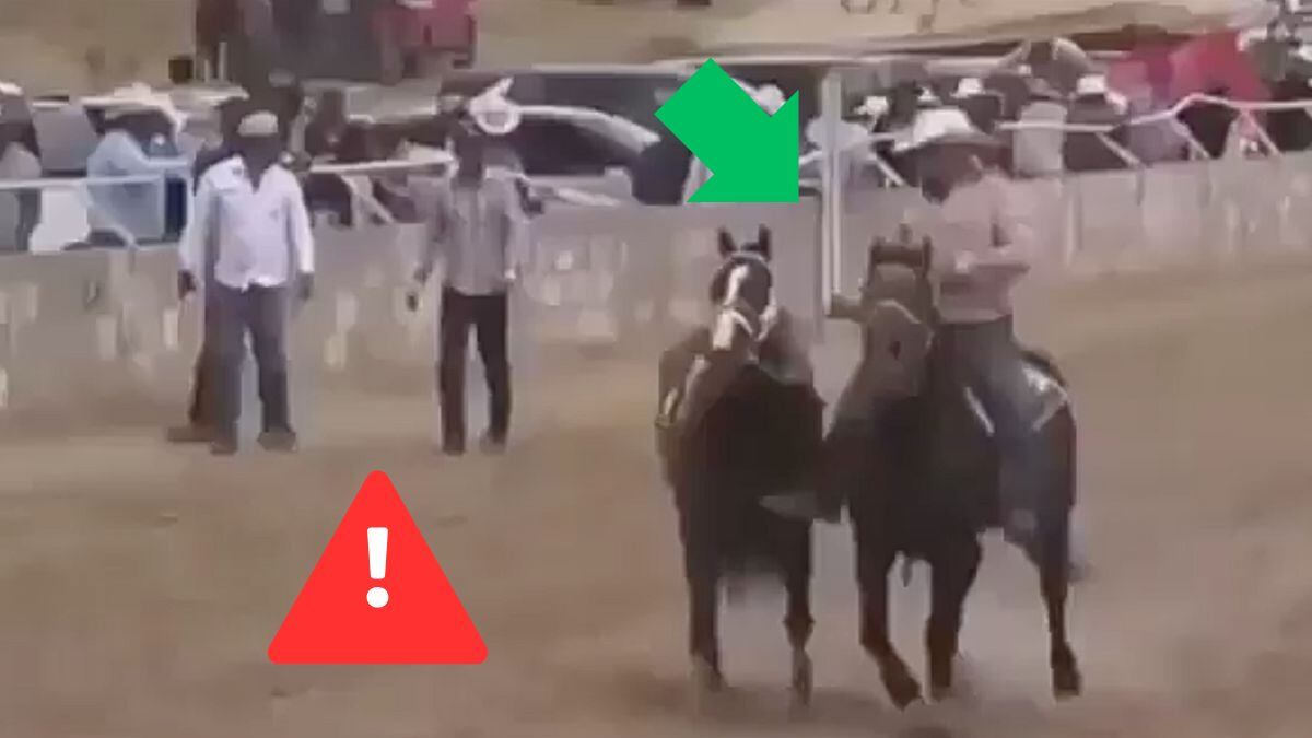 Video Masacre en carrera de caballos: Balacera entre Los Salgueiro y La Línea deja varios muertos y heridos en Parral