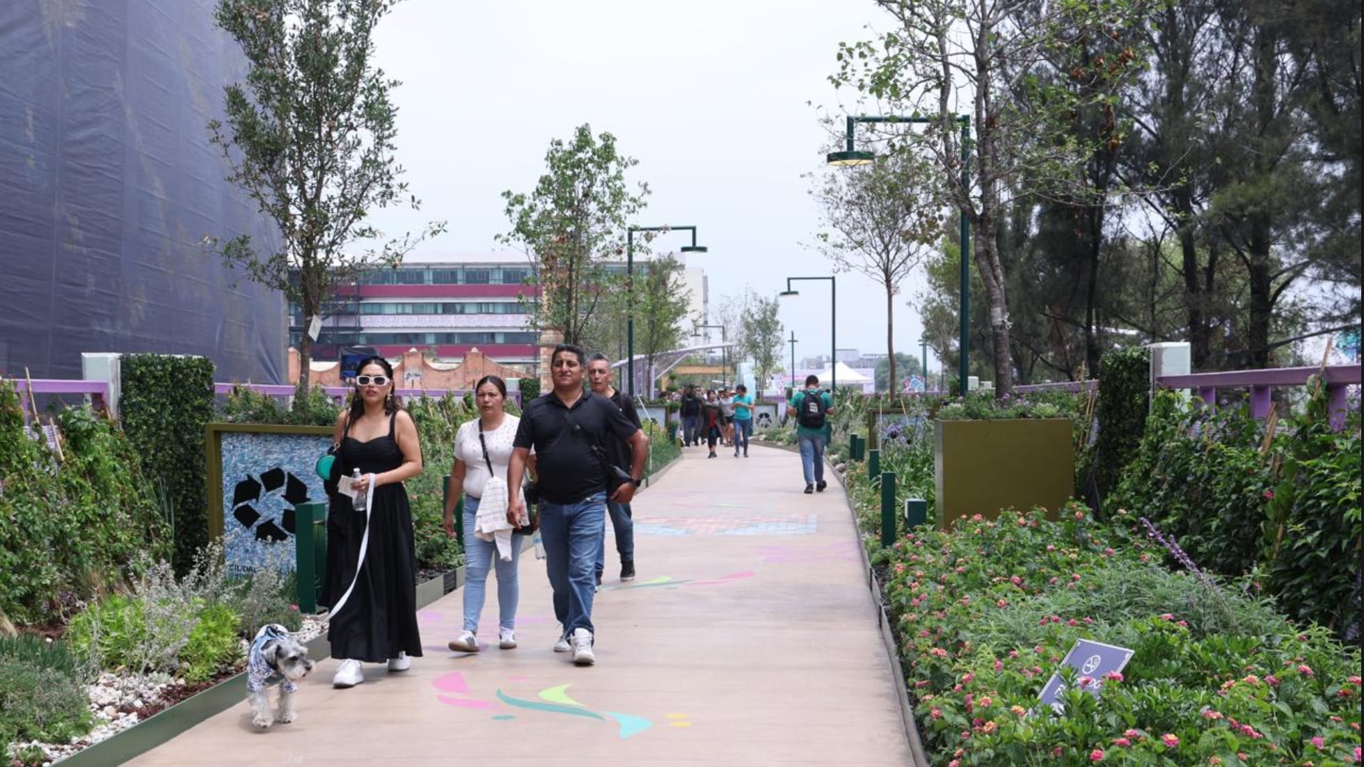 Jardín Flotante en Tlalpan