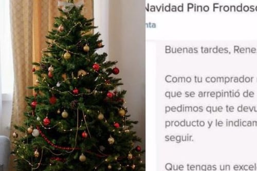 ¿Abusivo? Pide árbol de Navidad en línea y lo devuelve en enero
