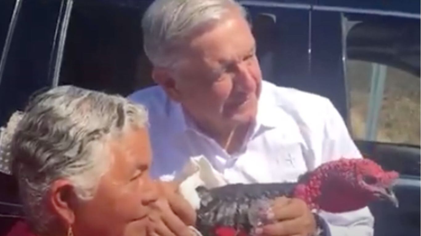 Piden al Guajolote de AMLO para cena de Navidad