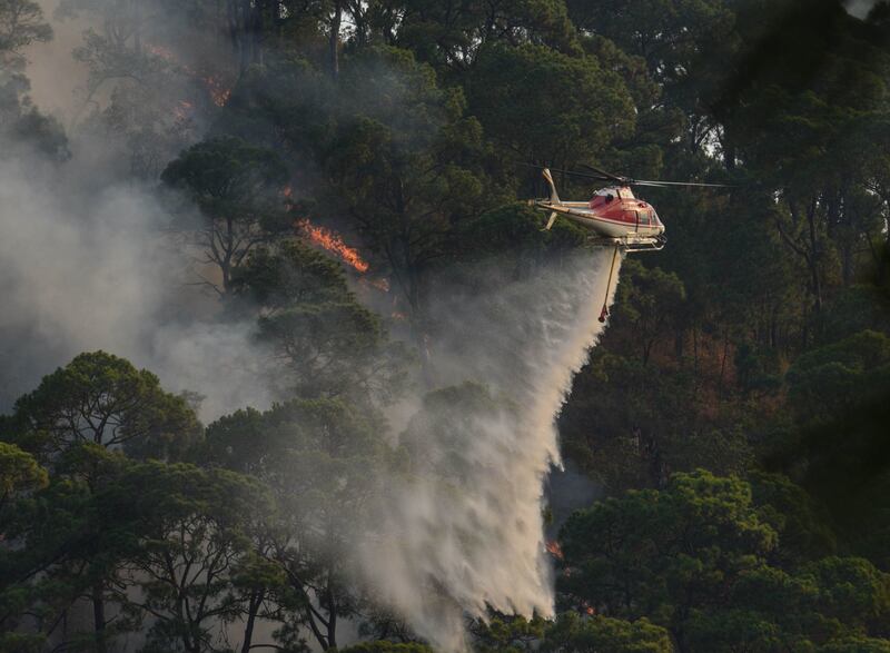 Continúan labores contra incendios forestales en Valle de Bravo