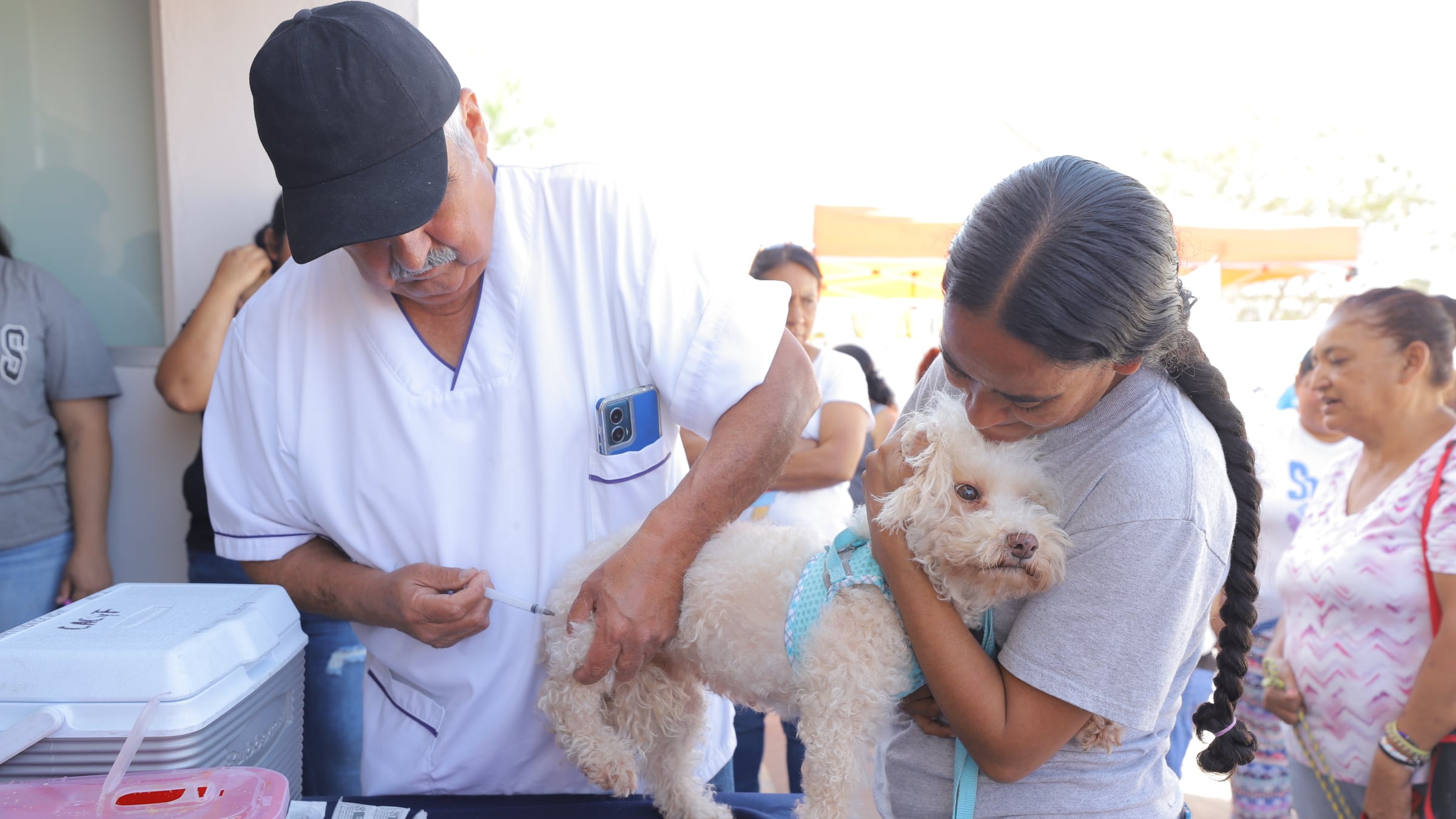 Durante la semana se esperan aplicar más de 50 mil vacunas antirrábicas.