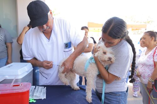Salud reporta cero casos de dengue en el Estado en lo que va de 2026