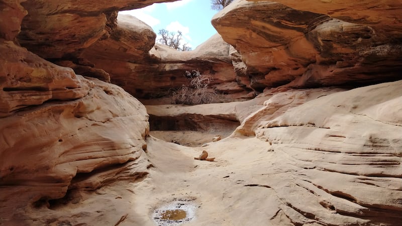 Te presentamos una guía emocional para recorrer Utah por sus parques nacionales, cañones, en el que cada parada te llenará de asombro y experiencias inolvidables