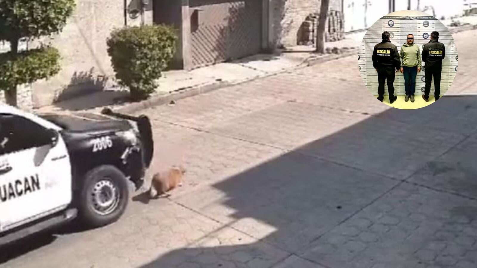 Arrestan a policía que atropelló a perro “Peluche” en Chimalhuacán