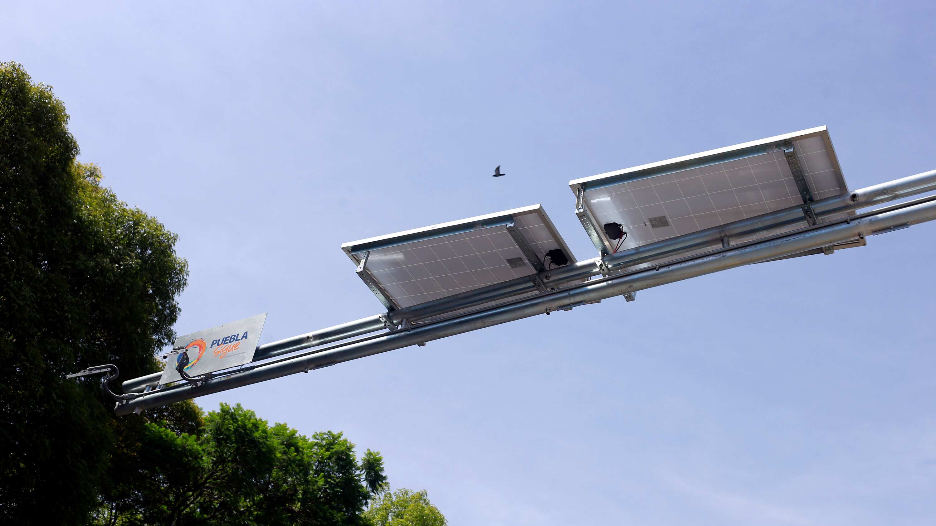 FOTO: Agencia Enfoque