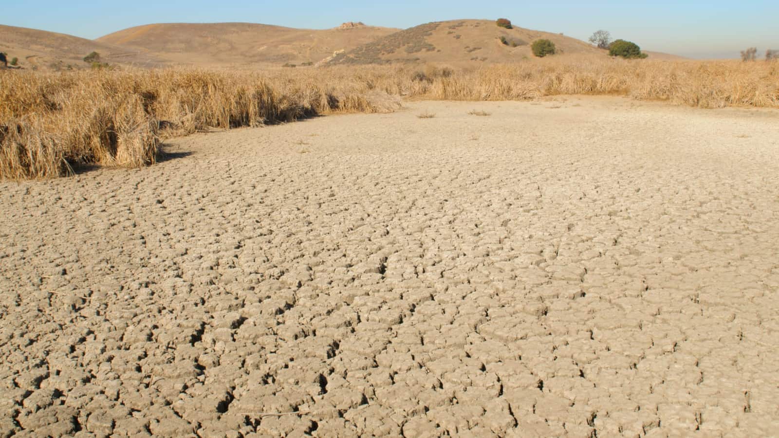 Las alarmas por la sequía en el Estado vuelven a encenderse.