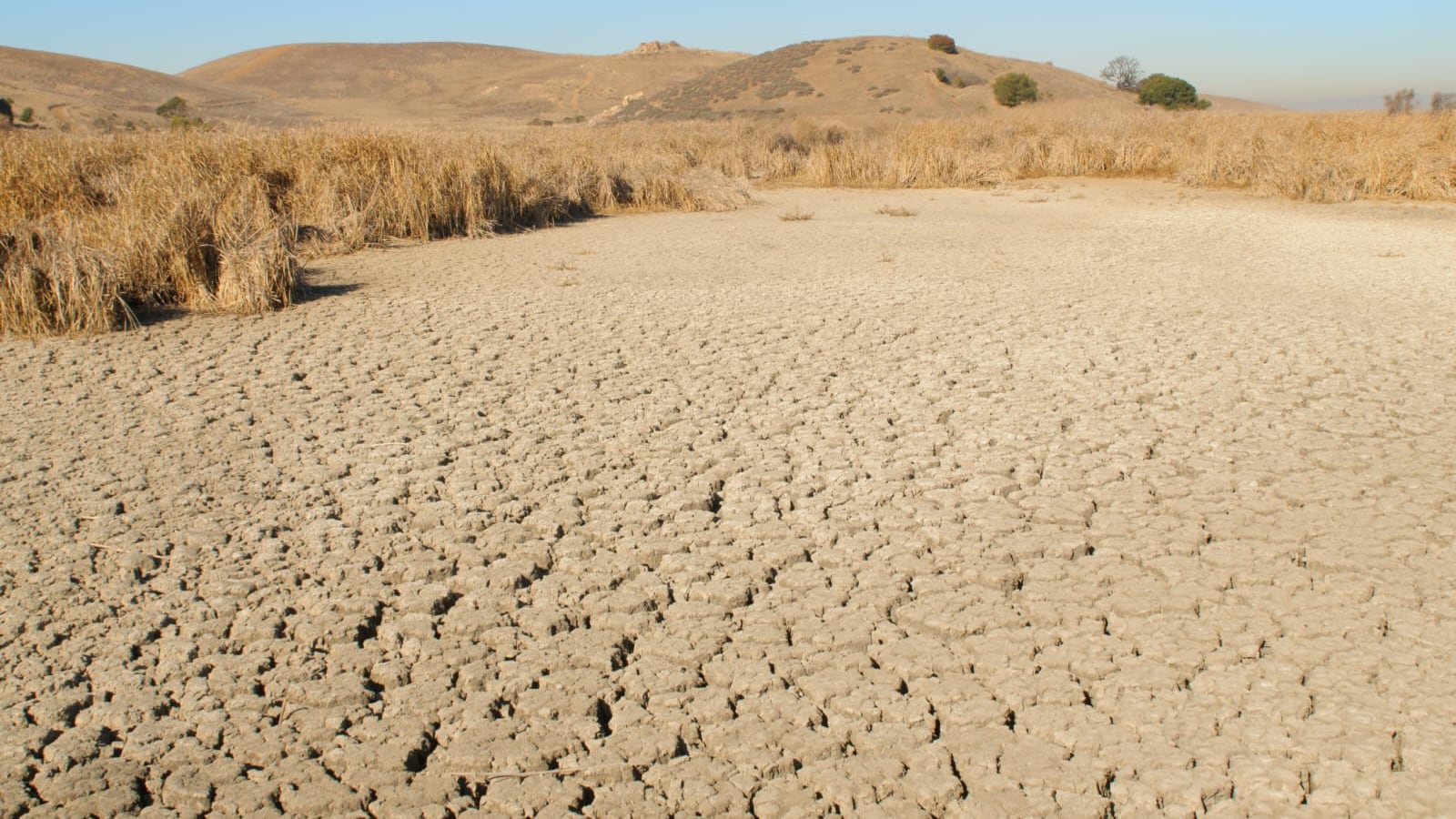Las alarmas por la sequía en el Estado vuelven a encenderse.