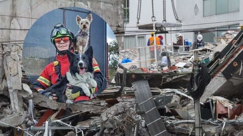 Athos y Tango: SCJN confirma aumento de sentencia contra hombre que envenenó perros