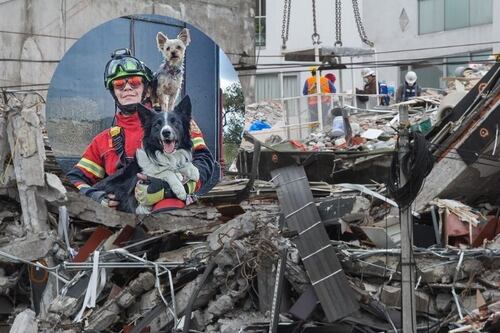 SCJN avala aumento de pena contra quien envenenó a perros rescatistas Athos y Tango