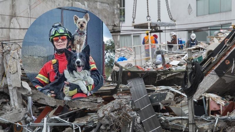 Athos y Tango: SCJN confirma aumento de sentencia contra hombre que envenenó perros
