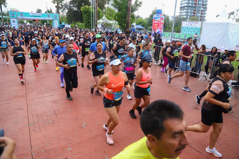 Carrera Farmacias Similares