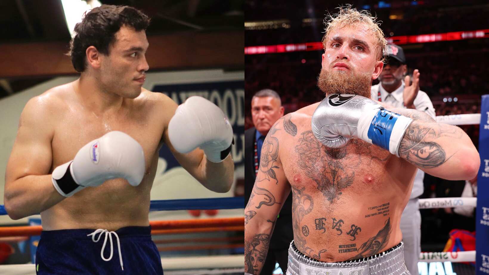Chávez Jr. retó a Jake Paul.