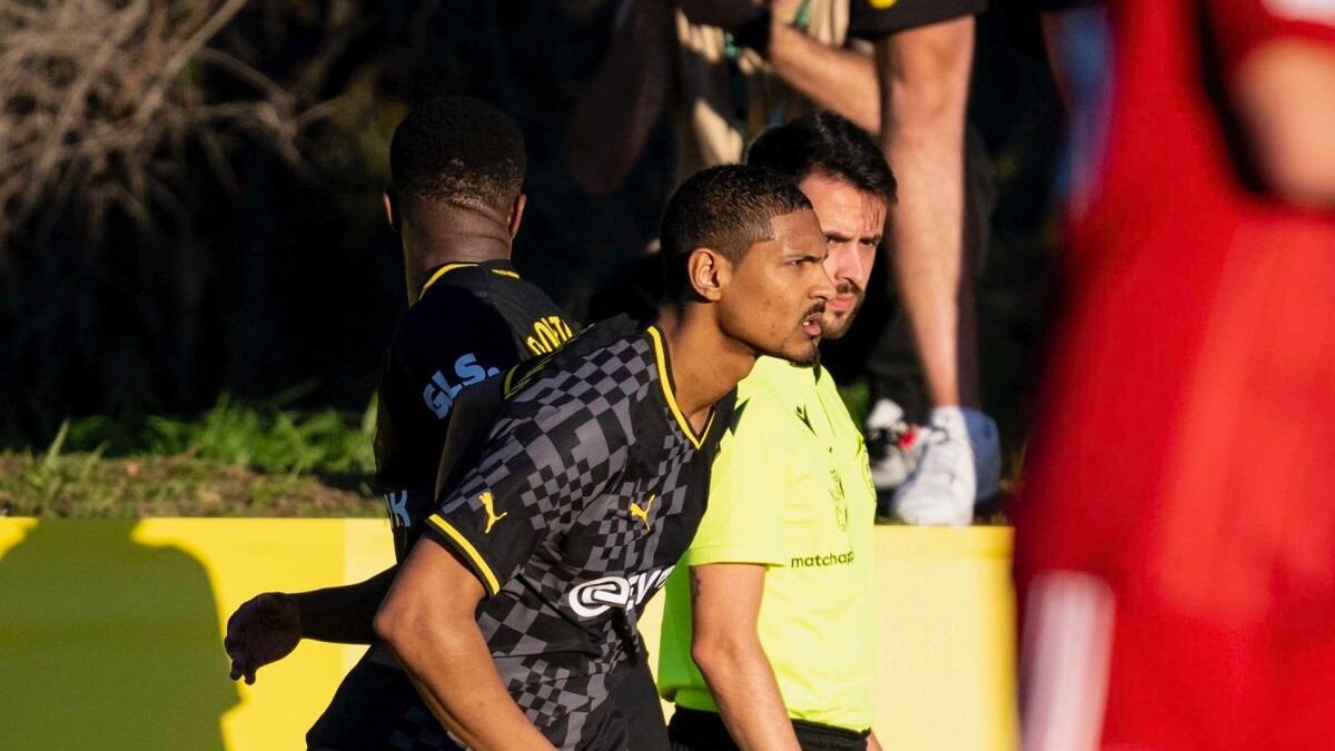 Sebastien Haller