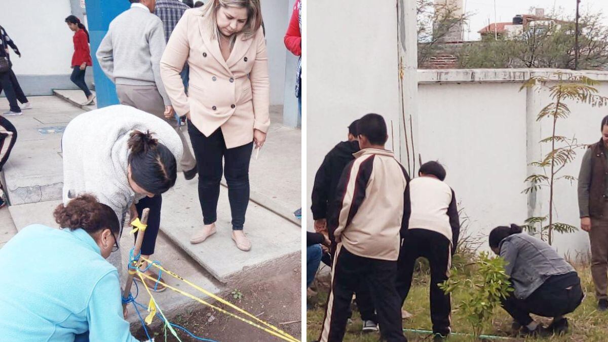 Los huertos escolares en Guanajuato buscan enseñar a los estudiantes el valor de la alimentación saludable y el autocultivo.